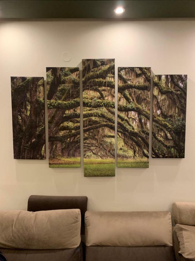 Thess Nature Apartment 테살로니키 외부 사진